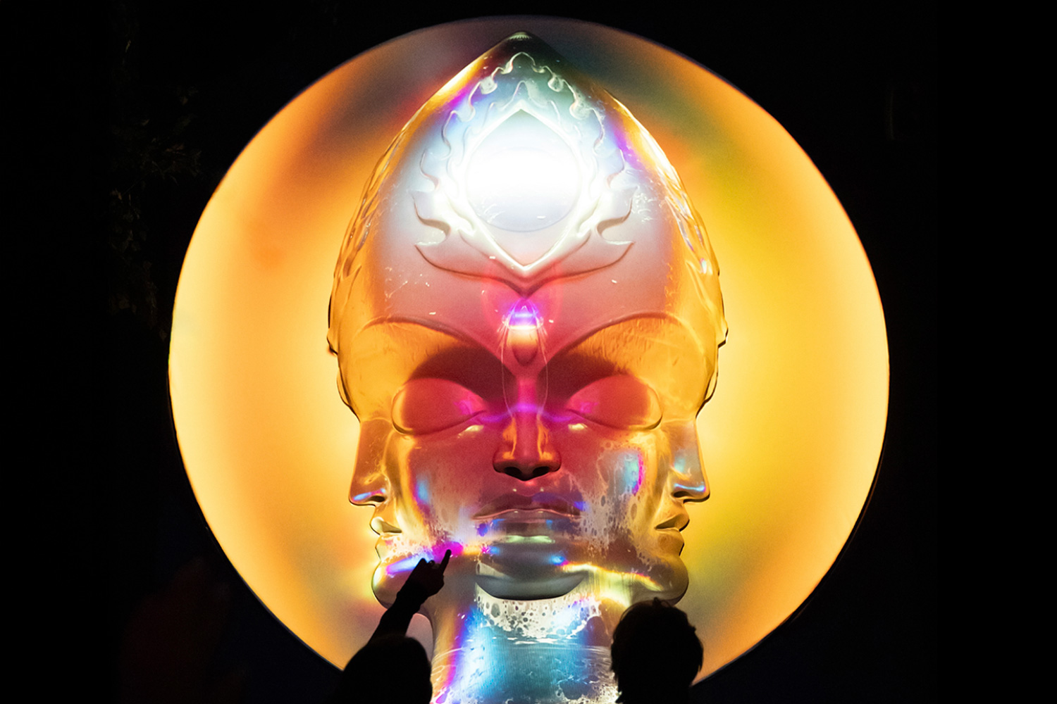 Visitor silhouette against fractal organism projection